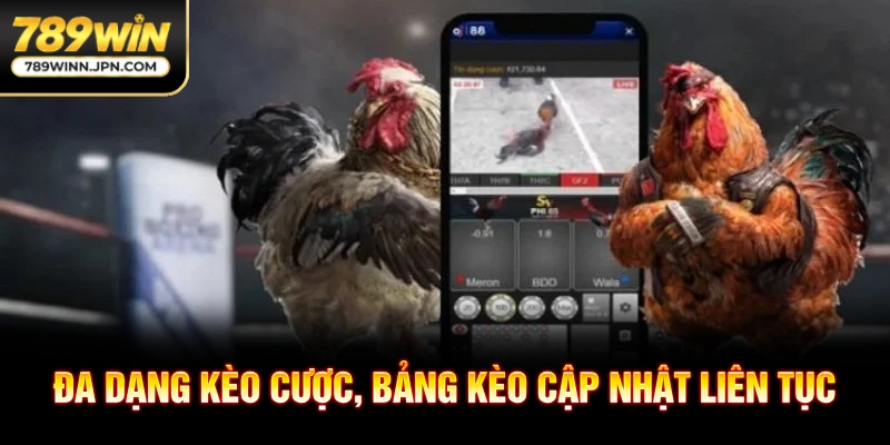 Đa dạng kèo cược, bảng kèo cập nhật liên tục