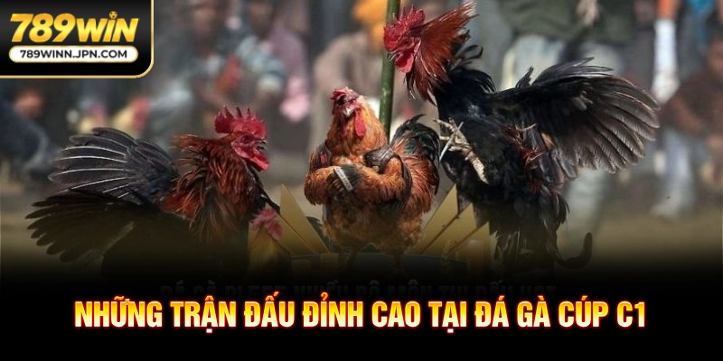 Những trận đấu đỉnh cao tại đá gà Cúp C1